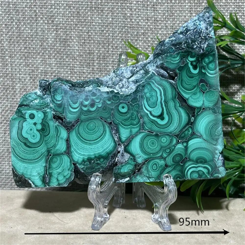 Natural Green Malachite Slab Slice  Stone Reiki Flower Beauty Minerals Healing Spiritual Stripe Home Decoration Quartz