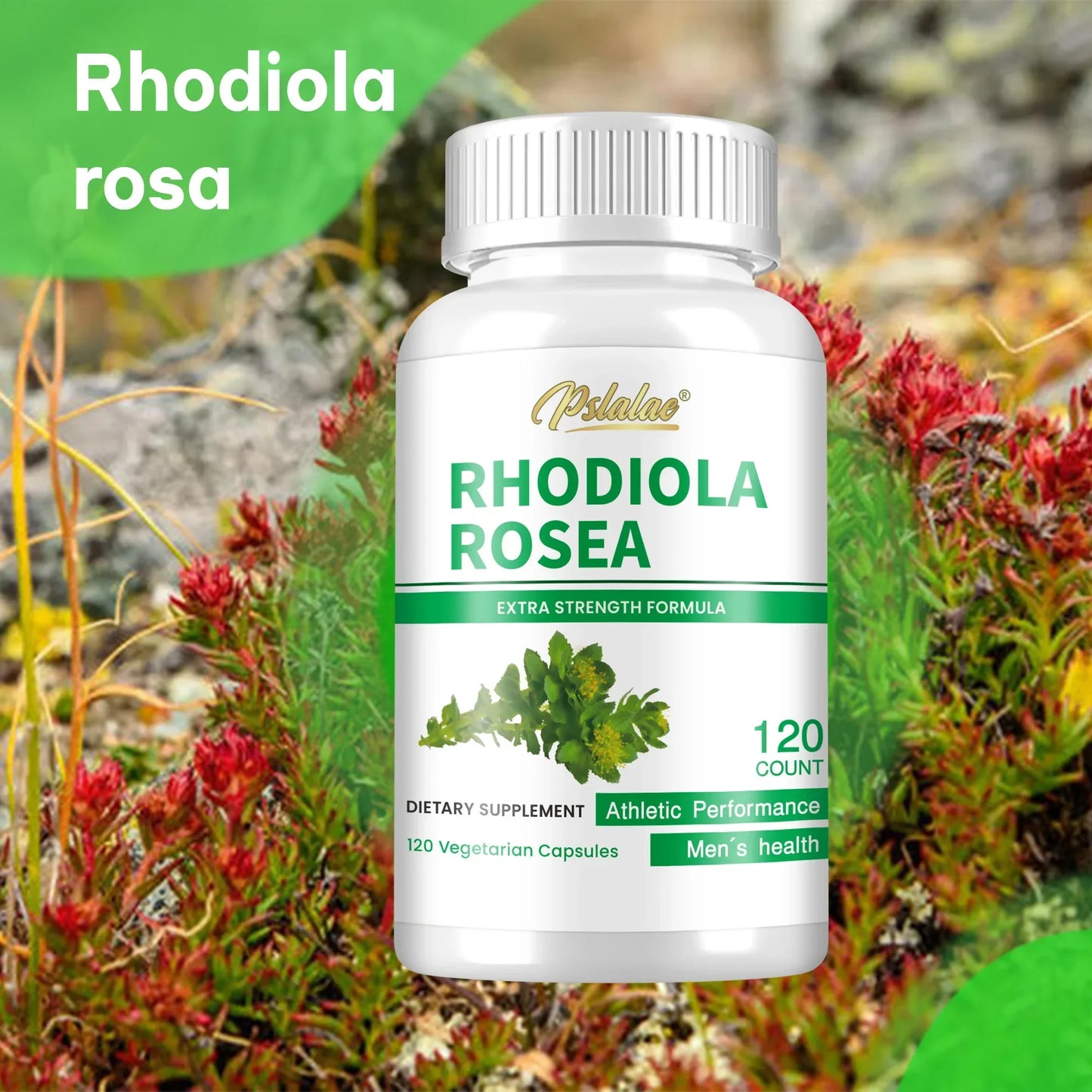 Rhodiola Rosea - Relieve Stress, Replenish Energy, Improve Endurance, Cognition & Remove Negative Mood - 120 Capsules