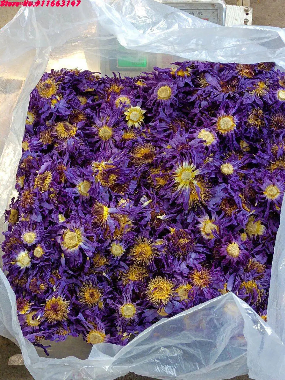 Blue Lotus Flower for astral projection and lucid dreaming 🛌🧘🏽‍♂️ activates the Pineal gland 👁️