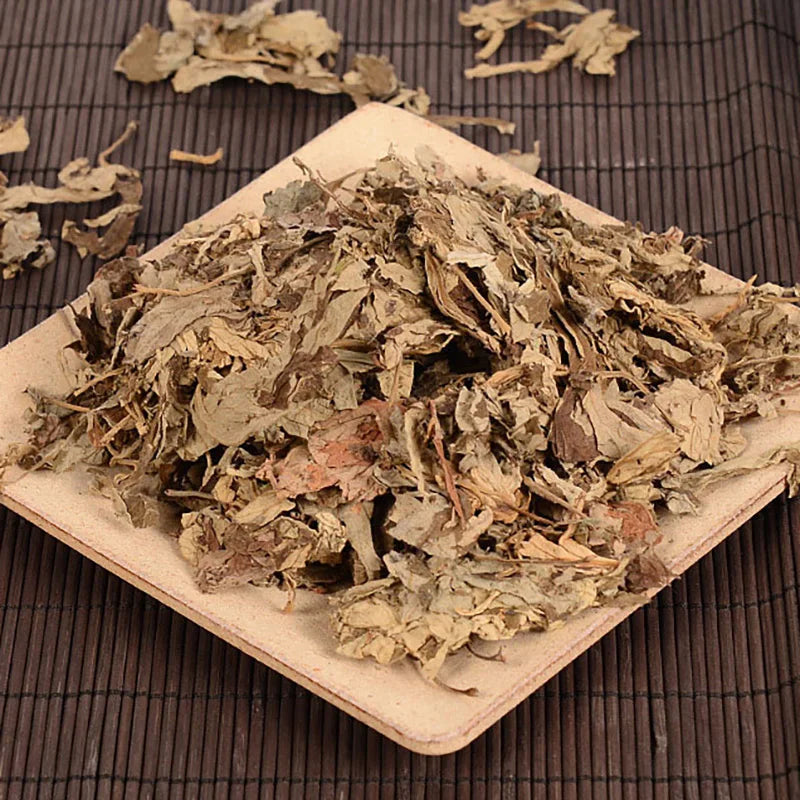Tibetan Mugwort Leaf great for Lucid Dream induction 🛌 & Meditation 🧘🏽‍♂️.