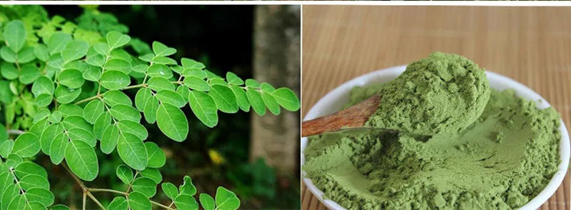 Moringa P-o-w-der is rich in vitamins A, C, E, & B, as well as minerals including calcium, potassium, iron, & magnesium. Even cited for higher concentrations of certain nutrients compared to foods more potassium than bananas & more iron than spinach